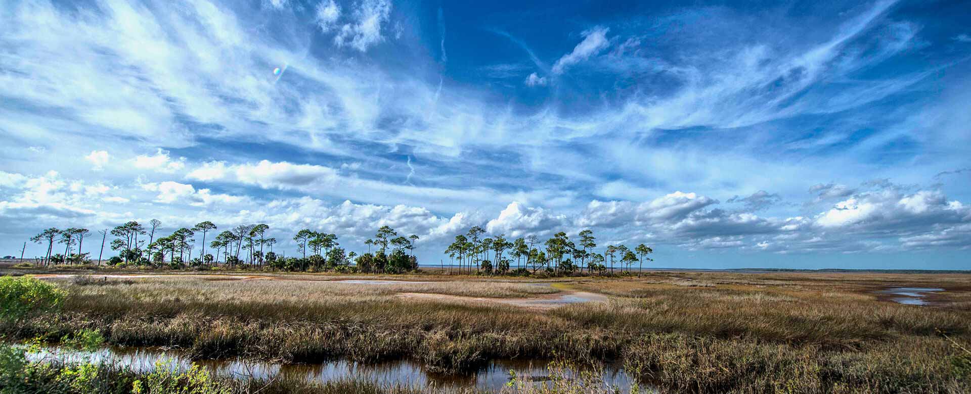 hernando-county-sky-sellingspringhill.com